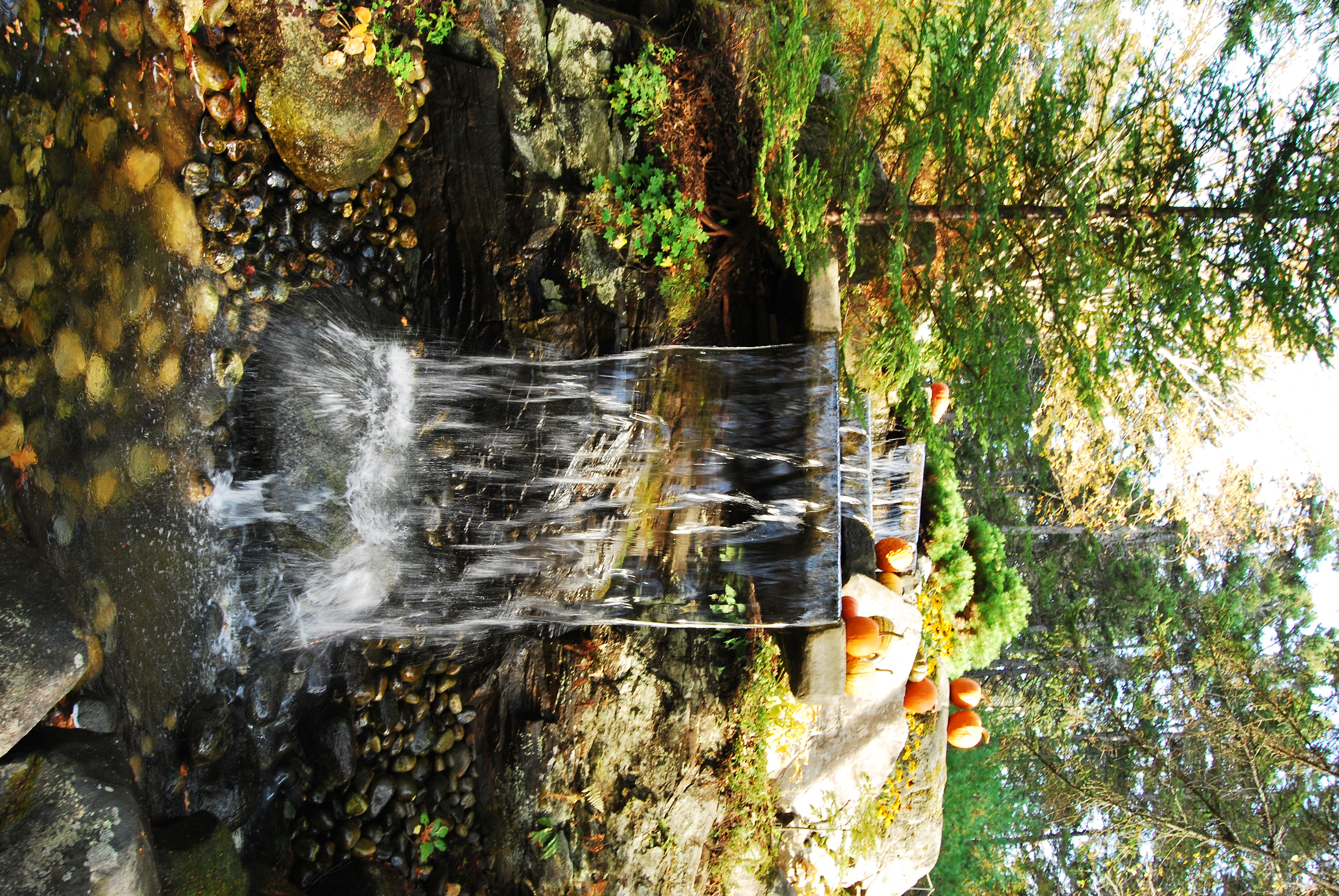 A waterfall into a small rocky pond surrounded by pumpkins and greenery